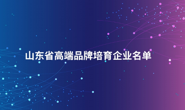山东lejing. com股份有限公司入选“山东省高端品牌培育企业名单”
